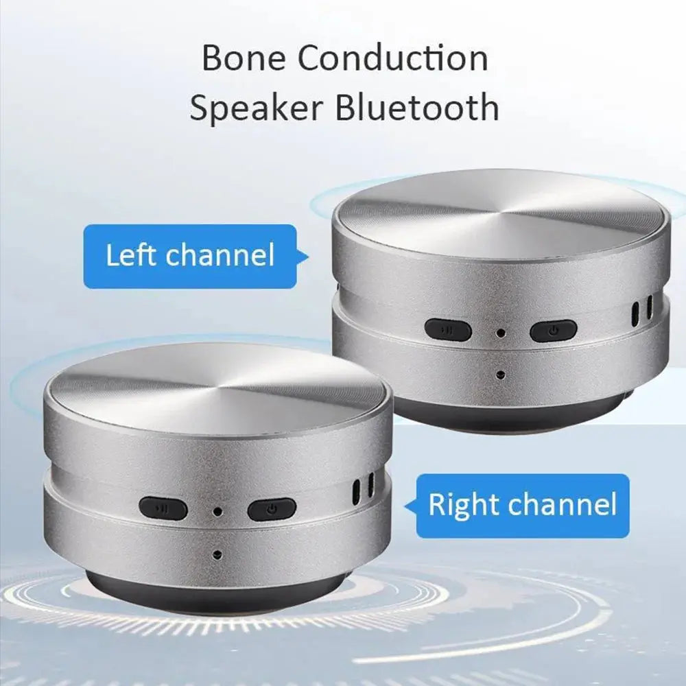 2025 Hot Bone Conduction Speaker Bluetooth-Compatible TWS Wireless Stereo Sound Hummingbird Speaker - Tech Triumph Shop